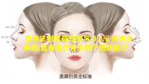 宜春注射隆鼻效果与 🐟 价格全解析(宜春治疗鼻炎哪个医院最好)